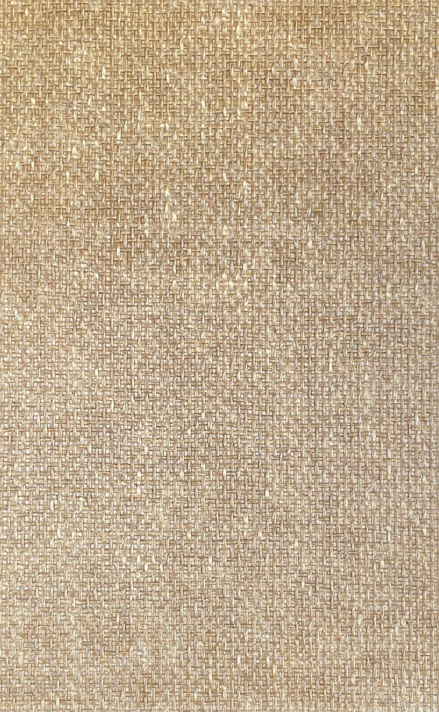 z6037640390178_fb4a602c4c8911b6ac352ab1f40da419