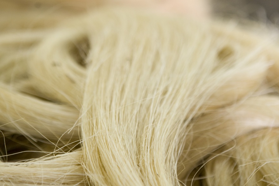 Uses and Applications of Sisal