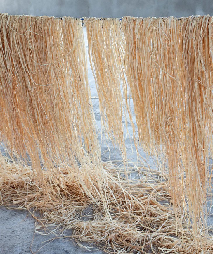 What is Raffia Wallpaper? What is Raffia Wallpaper?