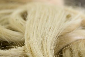 Uses and Applications of Sisal